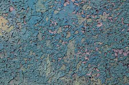 The background consists of a concrete wall.