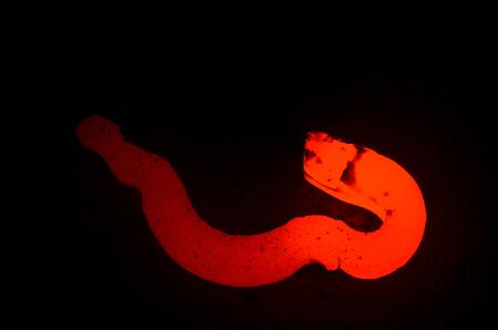 Red-hot railway anti-theft shot close-up on a dark background.の写真素材