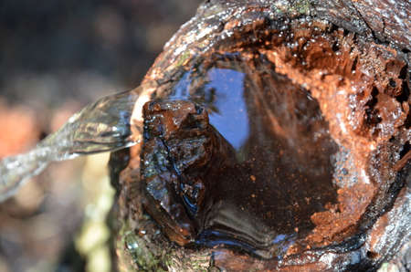 Water is poured out of the hole in the wood in a stream.