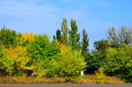 Bright autumn trees enveloped the old village.の写真素材