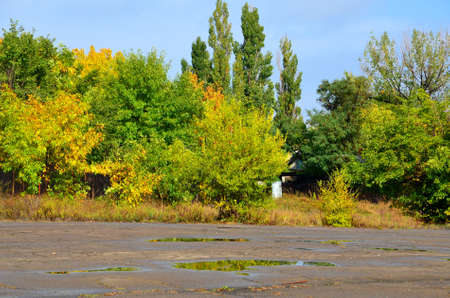 The landscape consists of autumn trees and puddles on the asphalt in the foreground.の写真素材