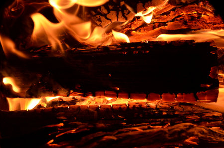 The texture of firewood burning in the oven.