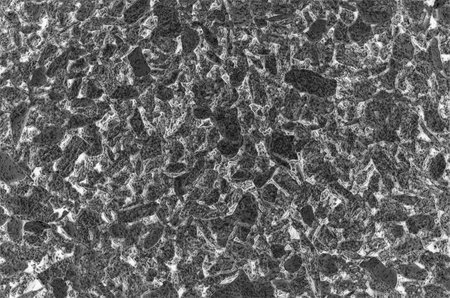 The abstract background consists of a texture of porous ash processed by a graphic editor.