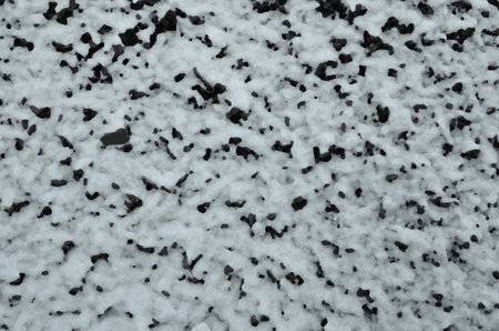 Texture of a wooden icy surface.の写真素材