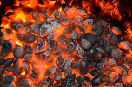 Burning apricot bones as background.の写真素材