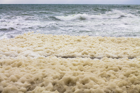 lot of sea foam and powerful sea splash wave with sprays の写真素材