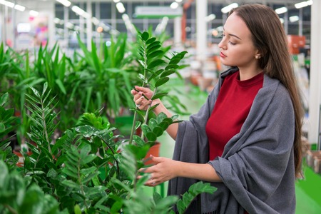 Beautiful woman buying green flower plants at flower shop.の写真素材