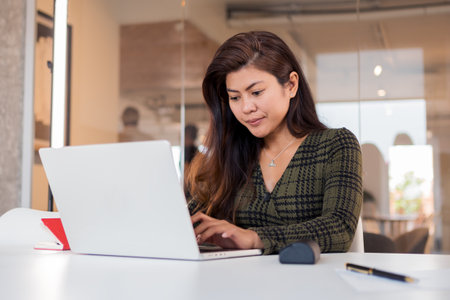 Smart focused lady working on netbookの写真素材