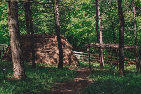 Old haystack in the woods. retro vintage film look effect.の写真素材