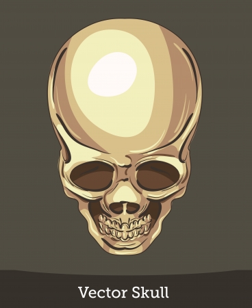 vector ink skullのイラスト素材