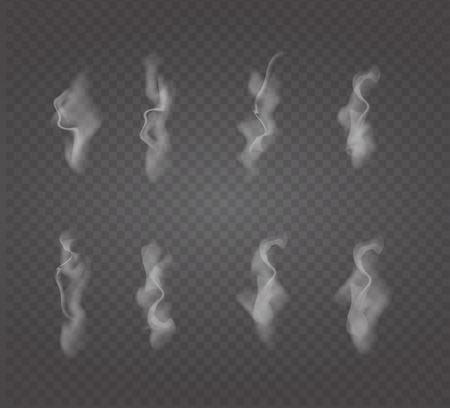 Set of transparent white smoke. vector illustration. Isolatedのイラスト素材