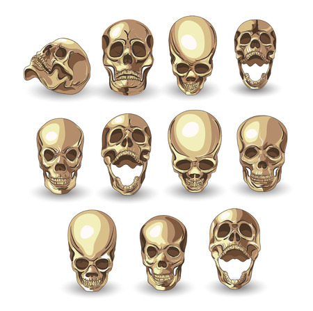 skull set on white background .のイラスト素材