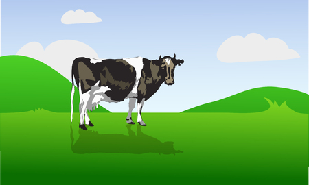 cow on a green fieldのイラスト素材