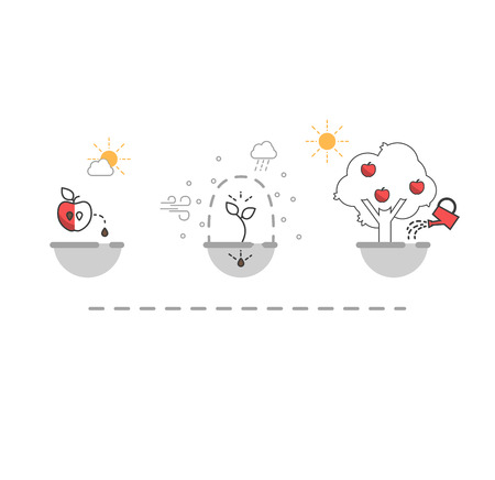 Steps of plant growth. Timeline infographic design. vector illustrationのイラスト素材