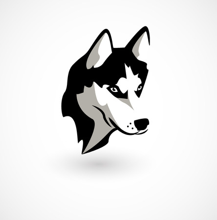 Vector illustration of Husky isolated on white.のイラスト素材