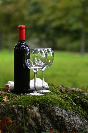 A bottle of wine with glasses in nature.の写真素材