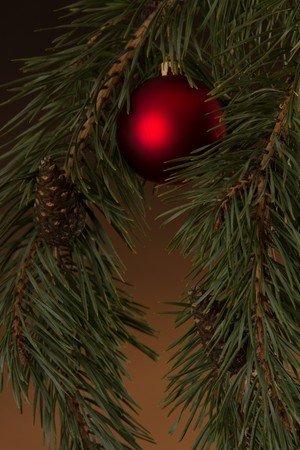 Christmas decoration and real christmas treeの写真素材