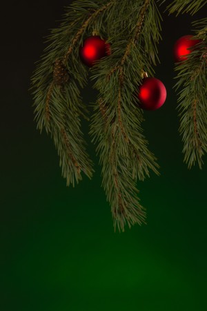 Christmas decoration and real christmas treeの写真素材