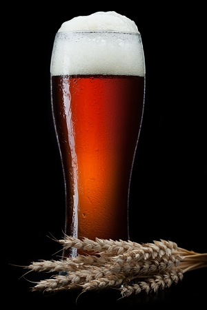 Beer into glass on a blackの写真素材