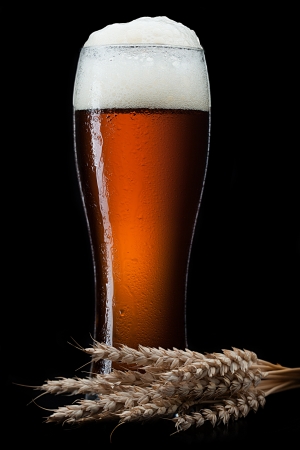 Beer into glass on a blackの写真素材