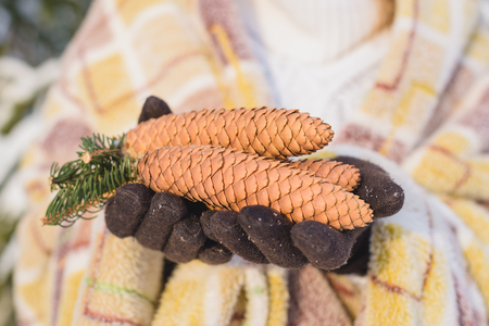 Girl with masks in hands in winter in a forest at sunsetの写真素材