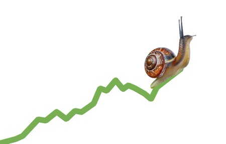 Snail on chart currency isolated on white backgroundの写真素材