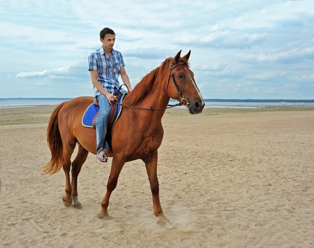 Man riding on a brown horseの写真素材