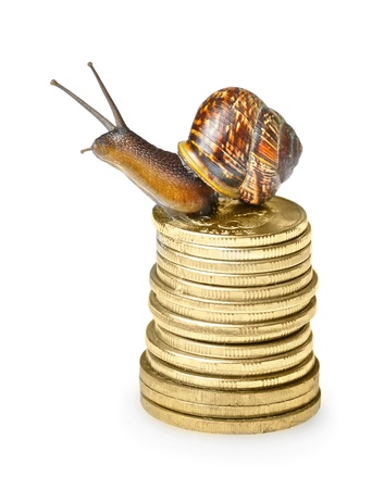 Snail on golden coins isolated on whiteの写真素材