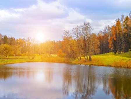 Trees and the sky in sunny autumnの写真素材