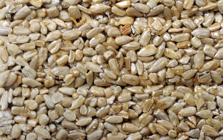 Sunflower seedsの写真素材