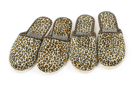 Slippers isolated on white backgroundの写真素材