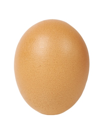 Single egg isolated on white background