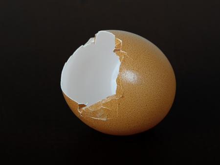 Egg shell on dark background
