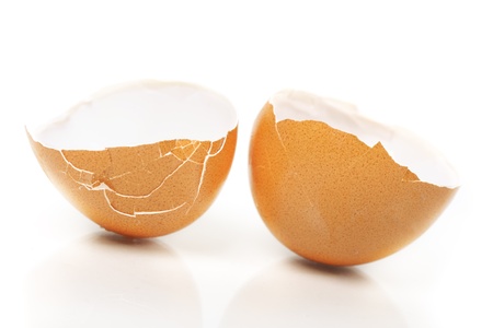 Egg shell isolated on white background