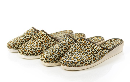 Slippers isolated on white backgroundの写真素材