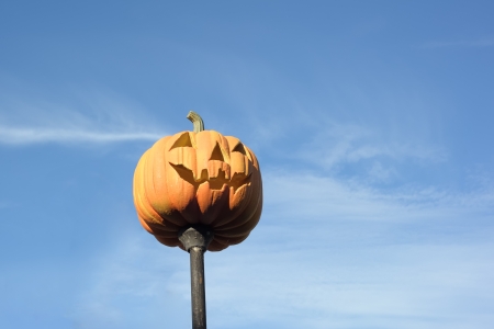 Pumpkin over the blue skyの写真素材