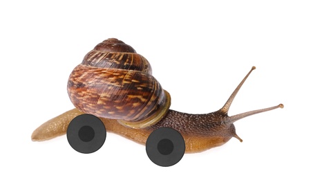  snail on wheels isolated on white backgroundの写真素材