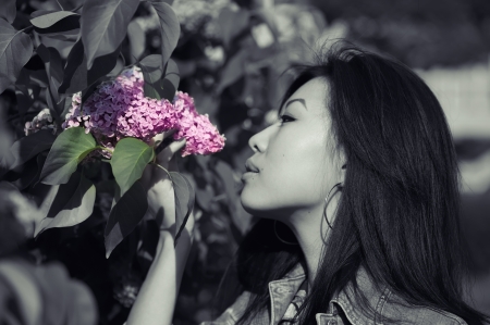 Portrait of a pretty asian girl in flowersの写真素材