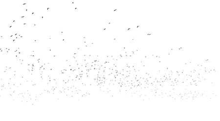 Many birds in the skyの写真素材