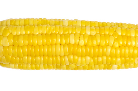Ear of corn isolated on white の写真素材