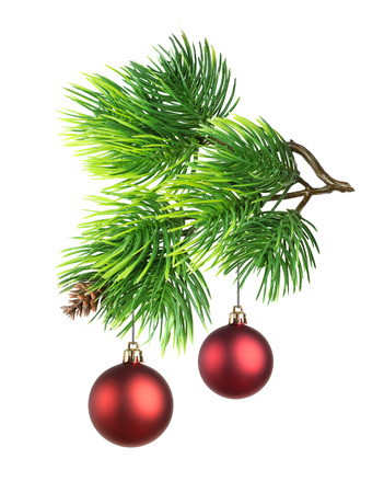 Christmas toy on fir tree branch isolatedの写真素材