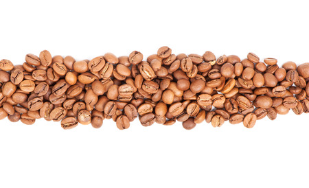 Arranged coffee beans isolated on white backgroundの写真素材