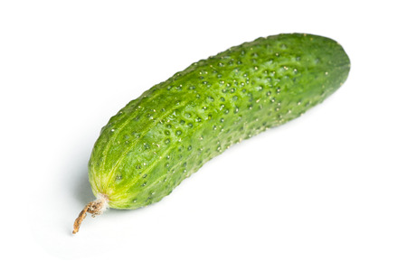 One cucumber isolated on white backgroundの写真素材