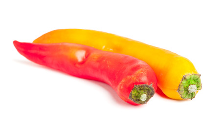 Hot pepper isolated on white backgroundの写真素材