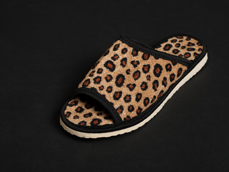 Single slipper on black backgroundの写真素材