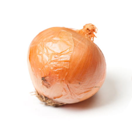 One rotten onion isolated on white backgroundの写真素材