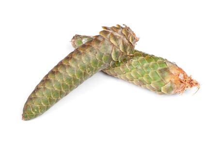 Freen fir cone isolated on white background
