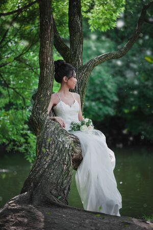 Beautiful bride with bouquet of flowers in white long dress sitting on treeの写真素材