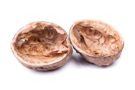 Empty shell of walnut isolated over white background