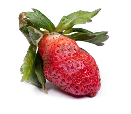 Rotten strawberry isolated on white backgroundの写真素材